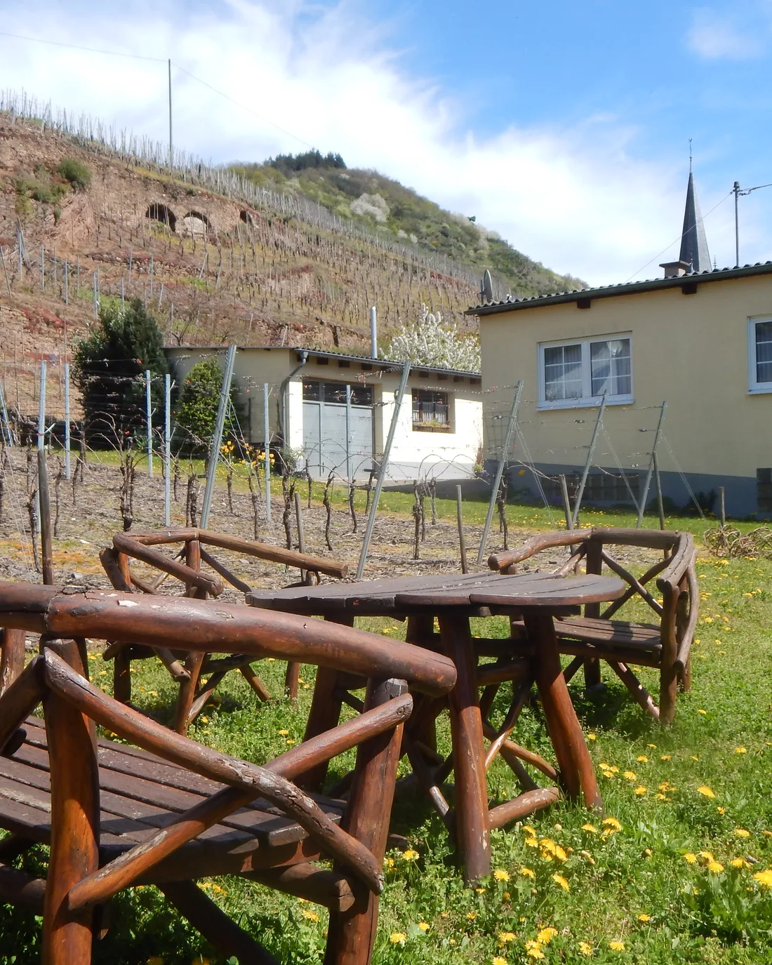 Garten mit Sitzplatz vor den Weinbergen in Eller