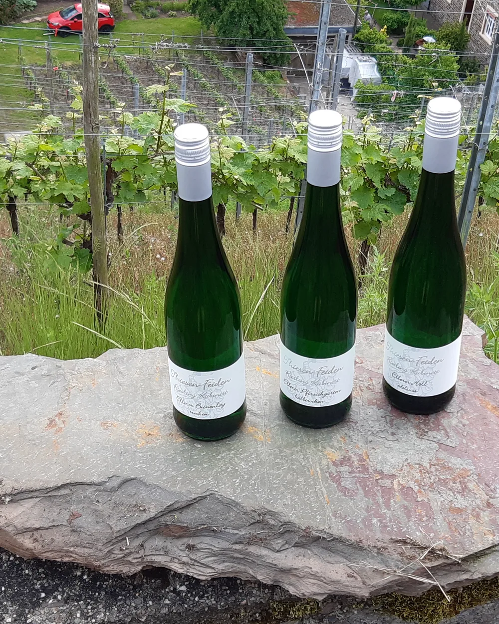 Rieslingflaschen vom Weingut Thiesen-Feiden auf Schiefer im Weinberg