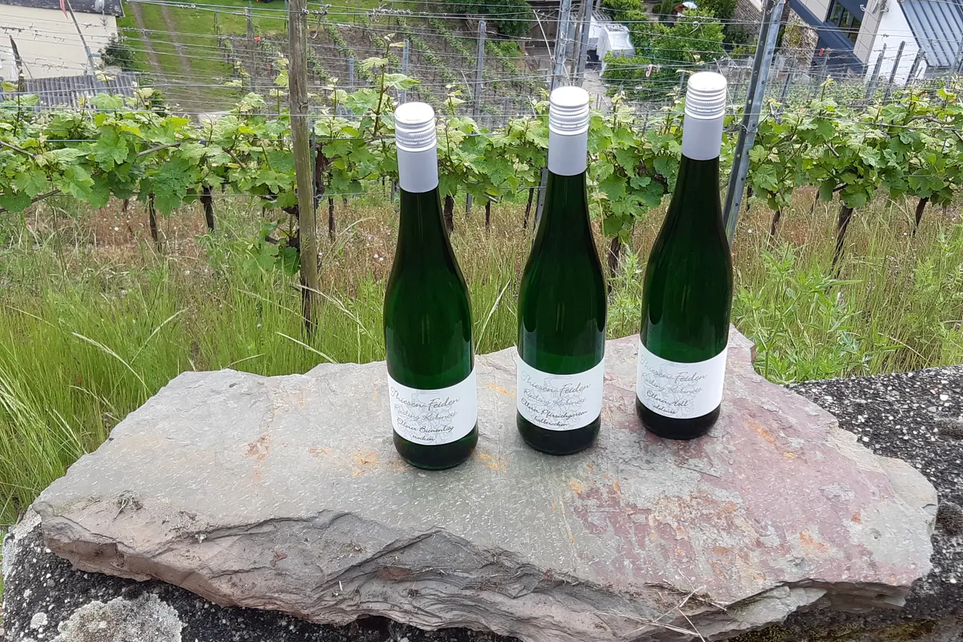 Drei Flaschen Riesling auf einem Schieferstein im Weinberg